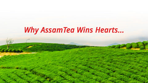 Why Assam Tea Wins Hearts.